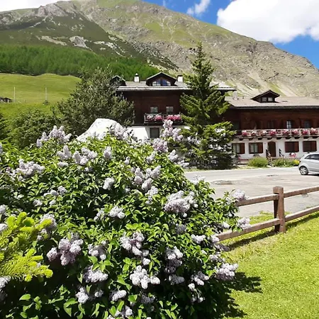 Del Sole Per Gruppi 3*